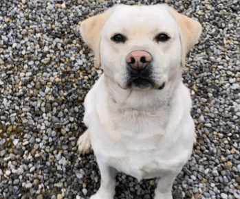 Screenshot-2025-10-15-152833