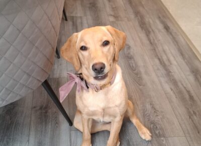 57d04e8d-81c3-4c3d-8d38-eb7e31482d6f