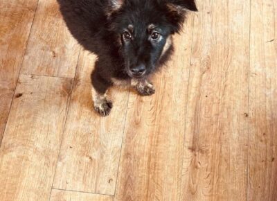 799204dc-a38f-4442-bd07-44d8af0c9822