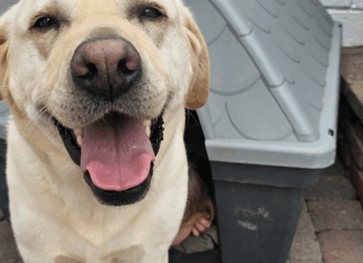 Screenshot-2025-11-12-142630