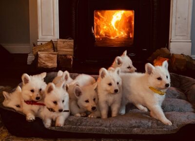 PHOTO-2025-11-20-17-54-462