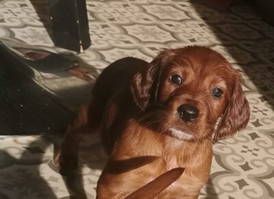 IMG_20260215_135130_edit_561012170623769