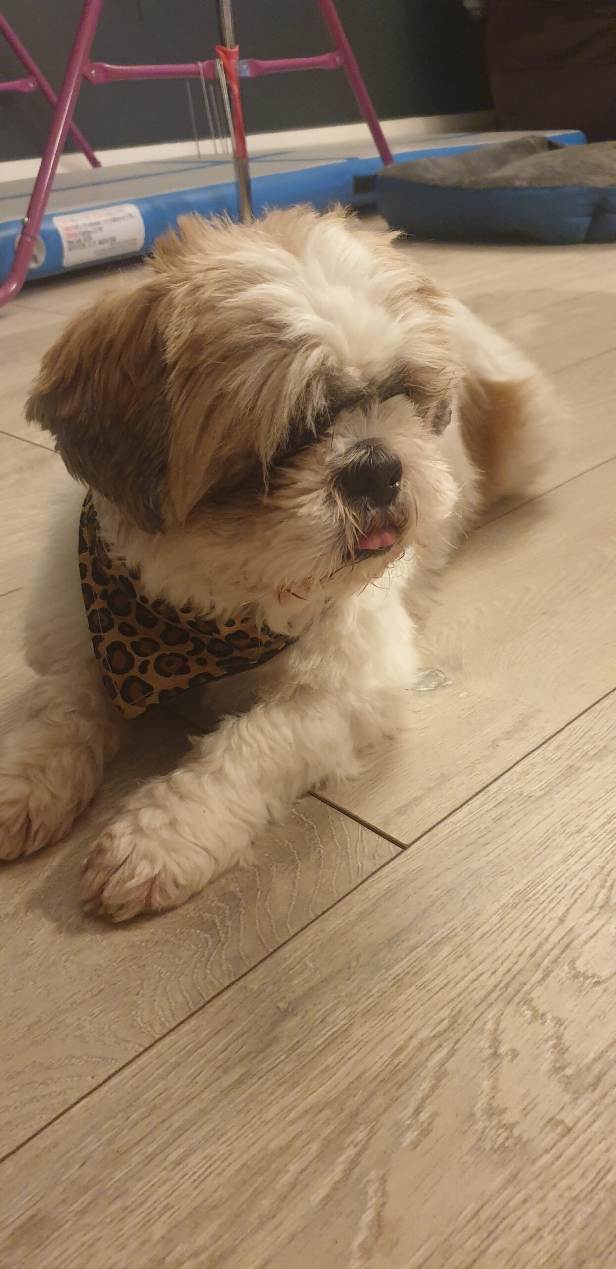 MARLEY