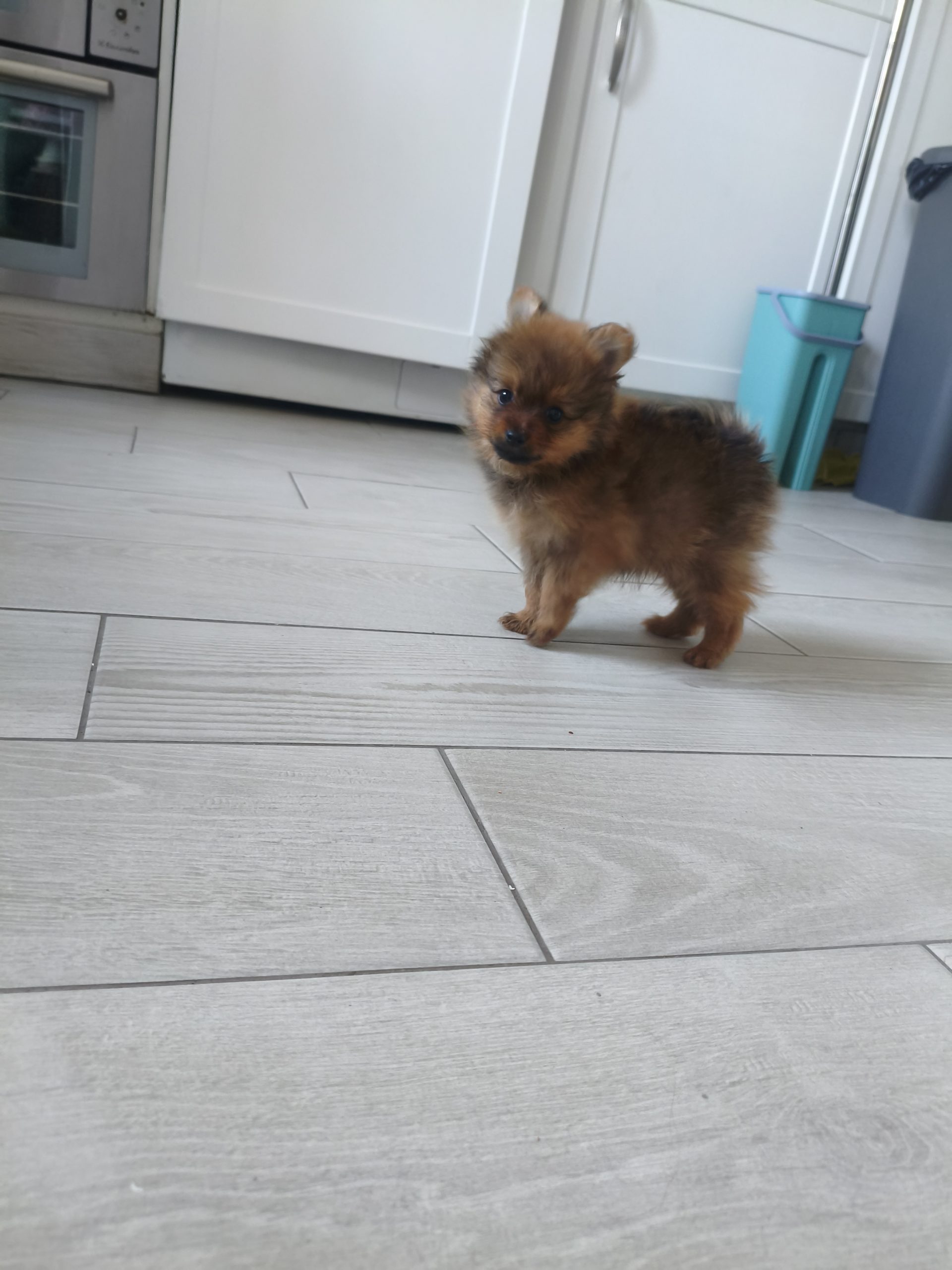 Mr