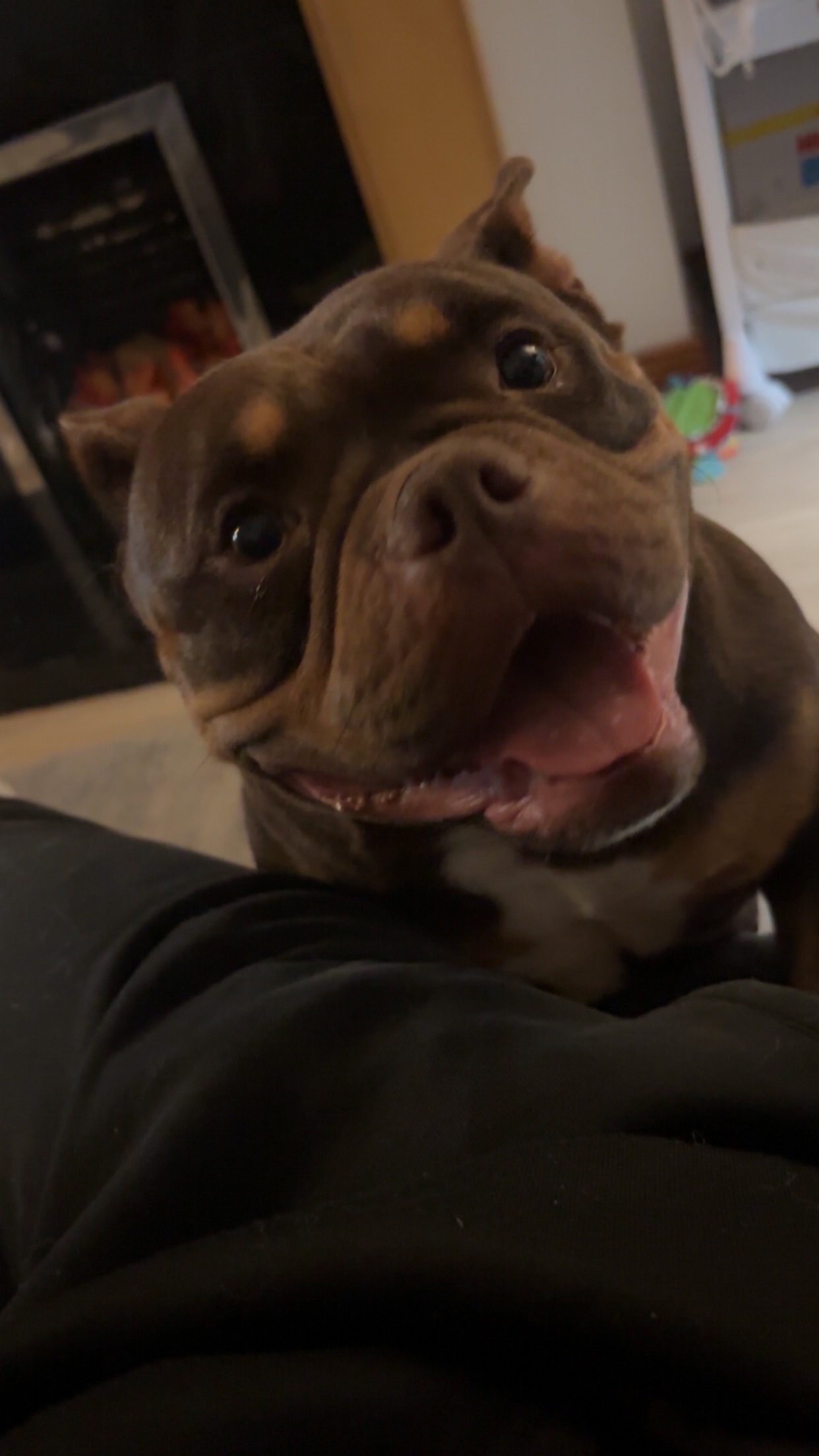 Bobbi