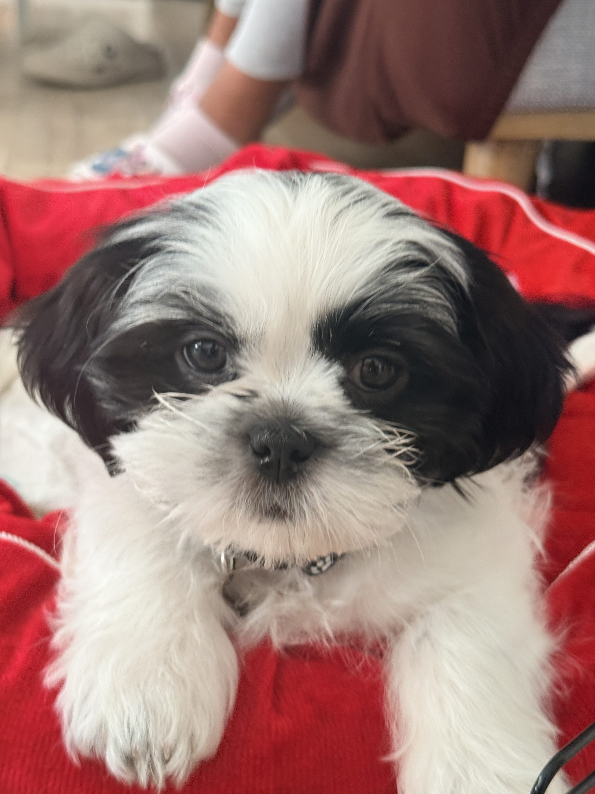 Max