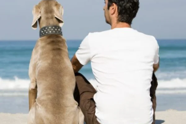 Annual Pet Owner's Guide: Keeping Your Furry Friends Happy & Healthy